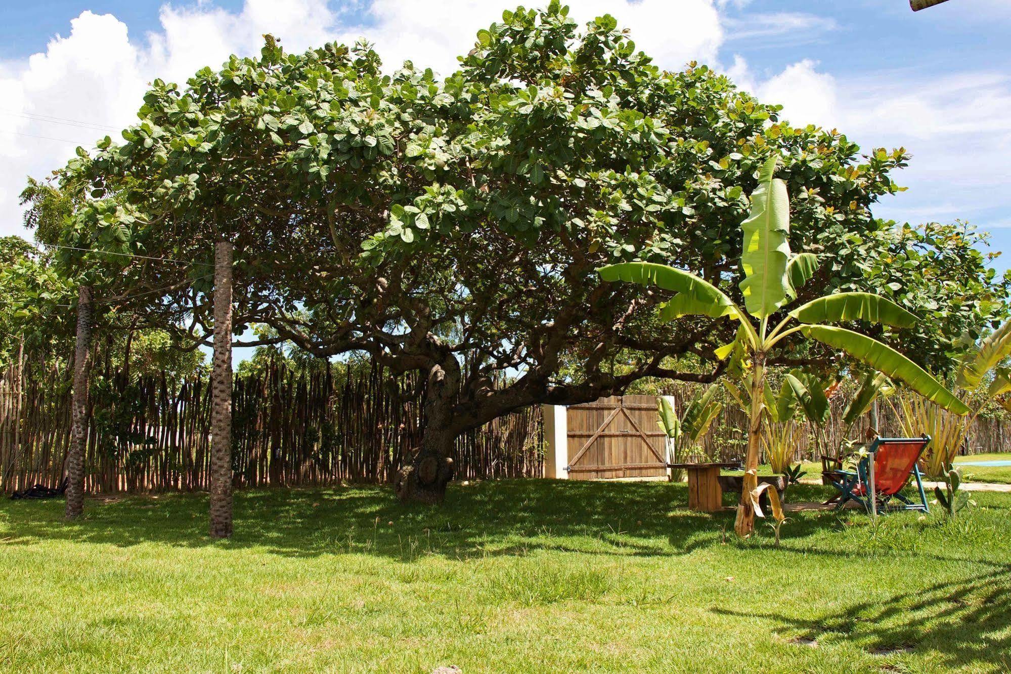 Pousada Casa Da Mata Sao Miguel do Gostoso Luaran gambar